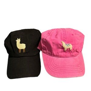 Hand Embroidered Llama Hat bundle